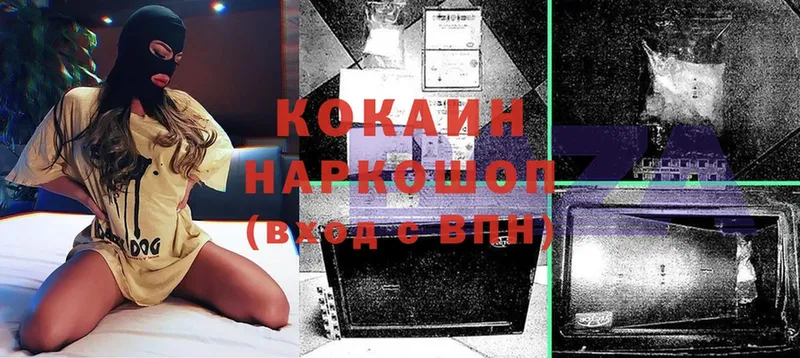 Cocaine FishScale  где купить   Новомичуринск 